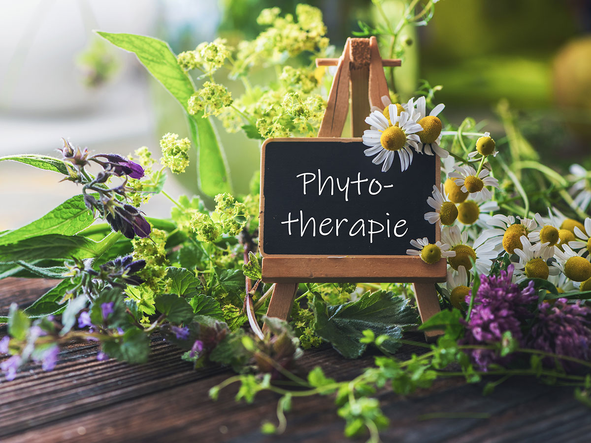 Phytotherapie